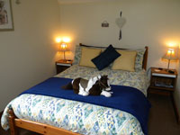 Large Double room pic